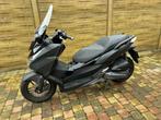 Honda, 1 cylindre, Scooter, Particulier, 125 cm³