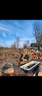 Bois de chauffage sapin, Tuin en Terras, Brandhout, Ophalen