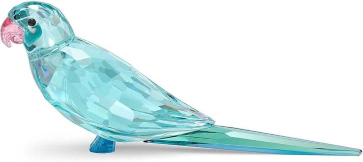 Figurine Swarovski | Perruche ondulée Paco | Nouveau, Collections, Swarovski, Neuf, Figurine, Envoi