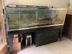 Groot aquarium - filter en pomp, Dieren en Toebehoren, Ophalen, Gebruikt, Filter of Co2