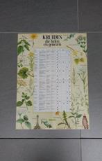 Poster : kruiden die helen en genezen, Gelezen, Overige typen, Libelle, Ophalen of Verzenden