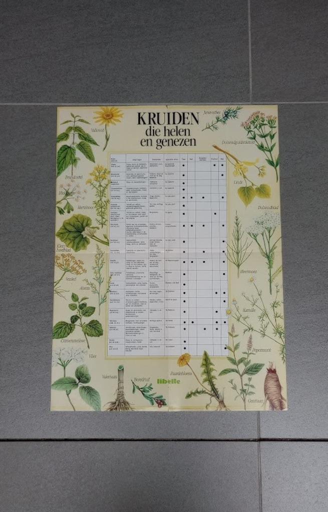 Poster : kruiden die helen en genezen, Boeken, Esoterie en Spiritualiteit, Gelezen, Overige typen, Overige onderwerpen, Ophalen of Verzenden
