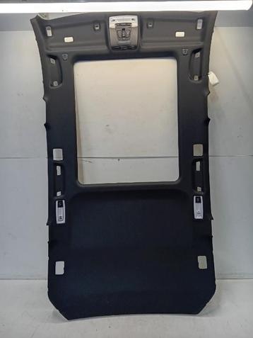 HEMELBEKLEDING BMW 3 serie Touring (F31) (7846251) beschikbaar voor biedingen