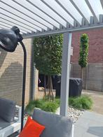 meerstammige carpinus betulus 300cm, Tuin en Terras, Ophalen, Halfschaduw, Overige soorten, Lente