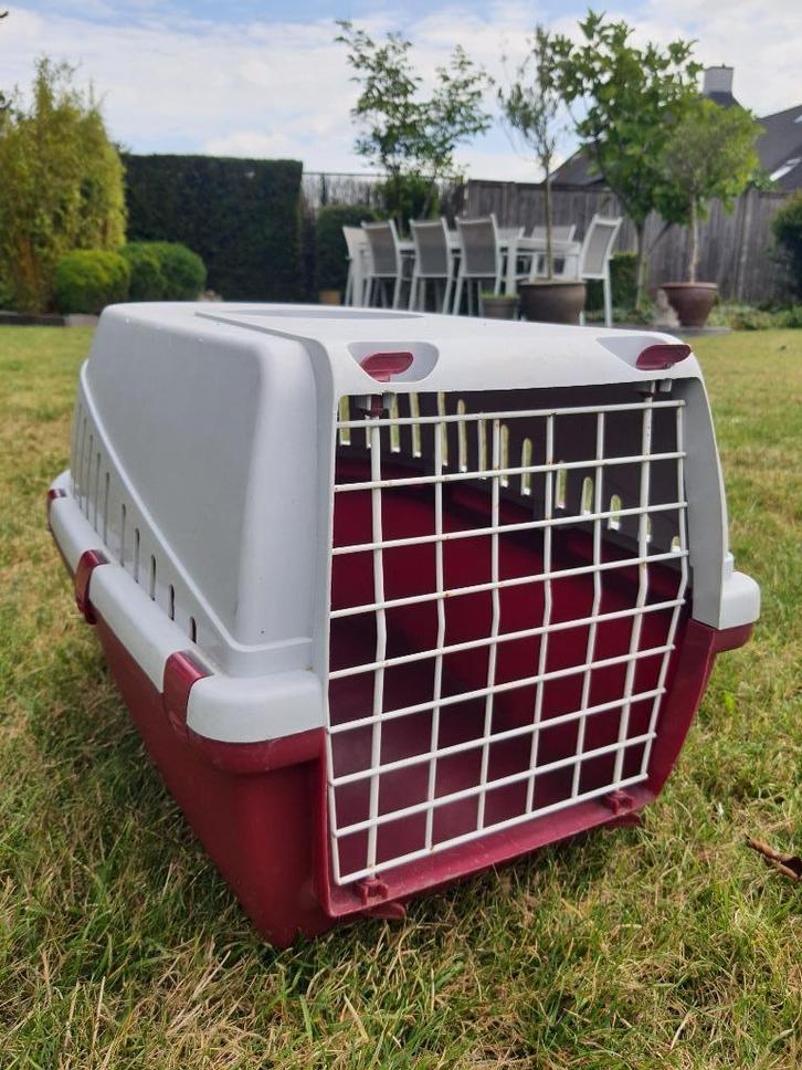 HUISDIERENTRANSPORTBOX, Dieren en Toebehoren, Overige Dieren-accessoires, Ophalen