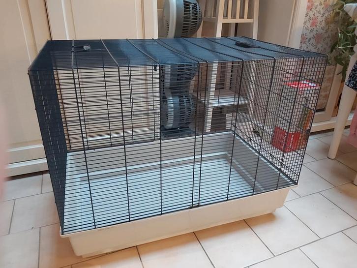 Knaagdierkooi (hamster/ratten), Animaux & Accessoires, Rongeurs & Lapins | Cages & Clapiers, Cage, Hamster, Rat, Enlèvement