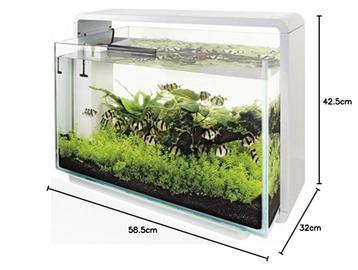 Aquarium home 65 aquascaping beschikbaar voor biedingen
