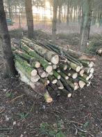 Brandhout op stam, Tuin en Terras, Brandhout, Stammen, 3 tot 6 m³, Ophalen, Overige houtsoorten