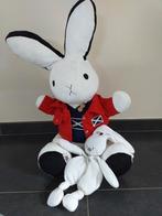 Groot knuffelkonijn, Kinderen en Baby's, Speelgoed | Knuffels en Pluche, Ophalen of Verzenden, Gebruikt, Konijn