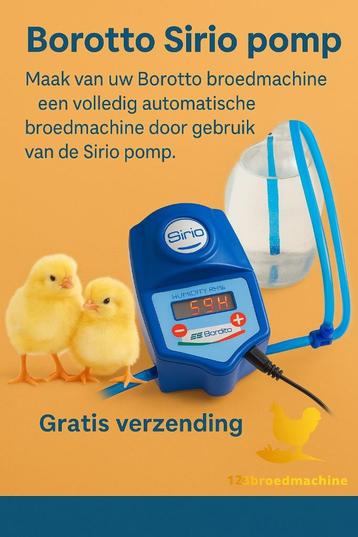 Pompe Borotto Sirio - Livraison gratuite - Pompe à humidité, Enlèvement ou Envoi, Neuf, Couveuse