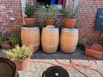 Wijnvaten 220l, 150 liter of meer, Ophalen, Gebruikt, Hout
