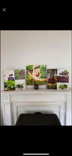 Set 3 canvas/ kaders met wijn, Huis en Inrichting, Woonaccessoires | Schilderijen, Tekeningen en Foto's, Zo goed als nieuw, Ophalen