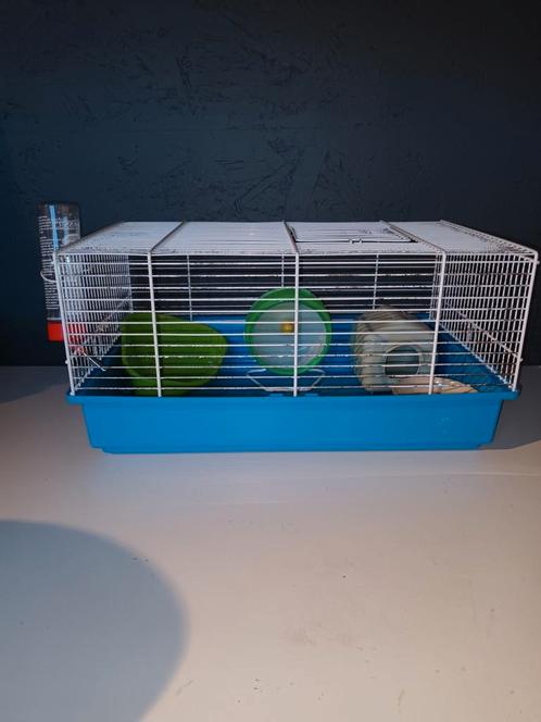 Complete hamsterkooi in goede staat., Dieren en Toebehoren, Overige Dieren-accessoires, Ophalen