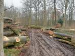 Tuinonderhoud  snoeien en vellen gevaarlijke bomen, Diensten en Vakmensen, Tuinonderhoud of Snoeiwerk