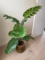 Nep plant ikea, Ophalen, Overige soorten, 150 tot 200 cm