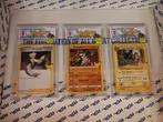 Pokemon pokeslabs, Hobby en Vrije tijd, Ophalen of Verzenden, Nieuw