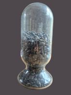 Antieke Amerikaanse apothekerspot van 28 cm hoog, Ophalen