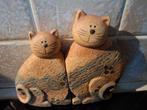 Mooie boeken hoeder van katten Aalter, Ophalen, Zo goed als nieuw