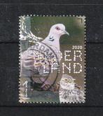 Nederland.  Zomer Tortelduif.  Vogels., Verzenden, Na 1940, Gestempeld