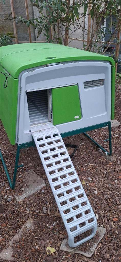 Kippenhok Omlet Eglu Cube, Dieren en Toebehoren, Pluimvee | Toebehoren, Zo goed als nieuw, Ophalen