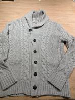 Grijze wollen vest van IJsland, Kleding | Heren, Truien en Vesten, Maat 48/50 (M), Ophalen of Verzenden, Zo goed als nieuw, Farmers Market Iceland