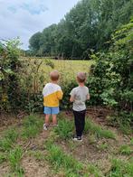 Bouwgrond met uitzicht op natuurgebied de Onnebossen, Immo, Gronden en Bouwgronden