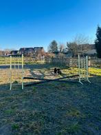 Springstaanders (4) met veiligheids steuners, Dieren en Toebehoren, Paarden en Pony's | Overige Paardenspullen, Ophalen, Zo goed als nieuw