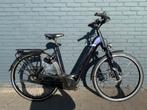 Pegasus Ravenna Evo 8 Electrische Fiets | Bosch Plus Motor, Overige merken, 53 tot 56 cm, Versnellingen, Ophalen of Verzenden