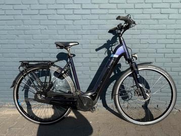 Pegasus Ravenna Evo 8 Electrische Fiets | Bosch Plus Motor beschikbaar voor biedingen