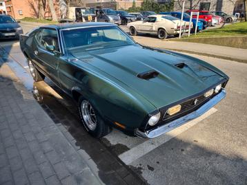 Ford Mustang Fastback 1971 beschikbaar voor biedingen