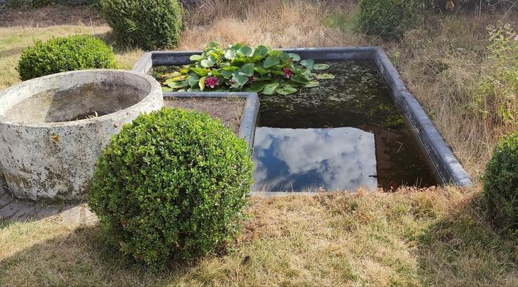 Vijverbak te koop, Tuin en Terras, Vijvers, Gebruikt, Ophalen