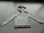 Pull hoodie Tommy Hilfiger maat xs, Kleding | Dames, Truien en Vesten, Tommy Hilfiger, Grijs, Maat 34 (XS) of kleiner, Ophalen of Verzenden