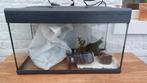 Aquarium, Animaux & Accessoires, Enlèvement, Utilisé, Aquarium vide