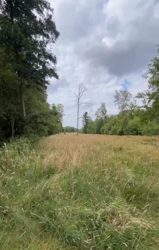 Te huur: Plekje voor paarden in Meerhout (Gestel), Animaux & Accessoires, Box & Pâturages, Pâturage, 4 chevaux ou poneys ou plus