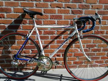 Vintage koersfiets Columbia met Compagnolo uitrusting beschikbaar voor biedingen
