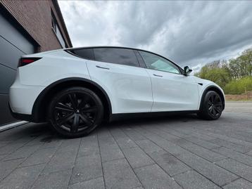 T E S L A Y 350cv 6000km keramiek 16 schotten garantie beschikbaar voor biedingen
