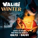 Walibi winter 1 place valable jusqu'au 04/01, Tickets & Billets, Loisirs | Parcs d'attractions