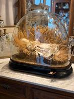 Antieke automaton wassen jezus, Ophalen
