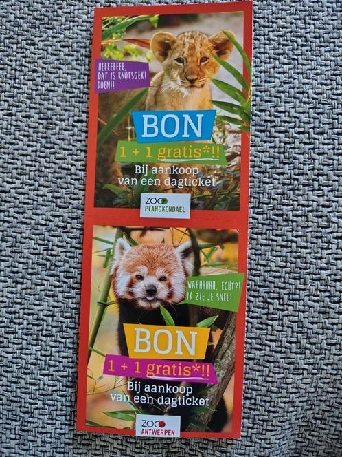 ZOO Planckendael – Antwerpen1+1 GRATIS ticket ️*, Tickets en Kaartjes, Recreatie | Dierentuinen