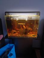 Aquarium en kast, Dieren en Toebehoren, Ophalen, Zo goed als nieuw, Leeg aquarium