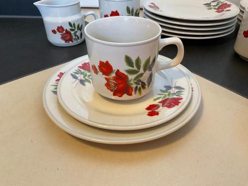 Vintage koffie servies rode rozen gebloemd, Antiek en Kunst, Antiek | Servies compleet, Ophalen of Verzenden