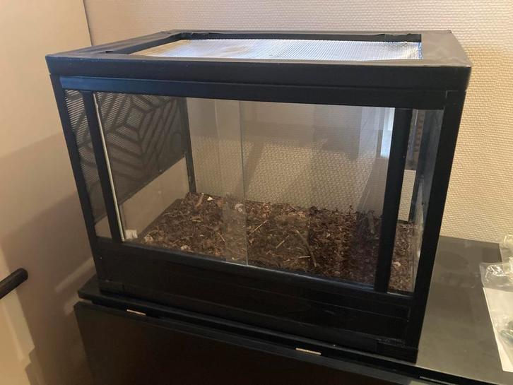 (Opkweek) terrarium 60/45/45cm, Animaux & Accessoires, Reptiles & Amphibiens | Accessoires, Utilisé, Enlèvement