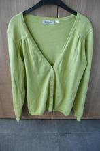 Lichtgroene gilet Bellisimo (K721), Maat 38/40 (M), Ophalen of Verzenden, Bellisimo, Gedragen