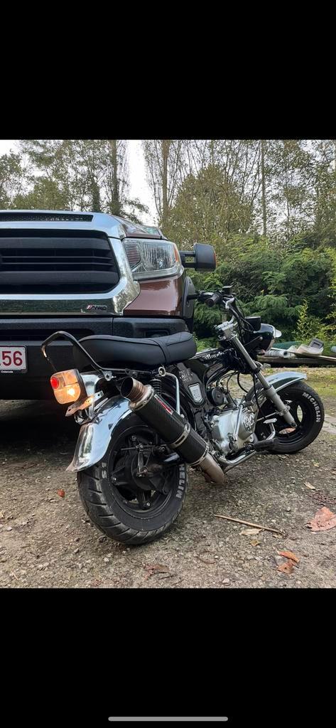 Dax skayteam 50cc, Motos, Motos | Honda, Particulier, Autre, 1 cylindre, Enlèvement