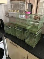 Chardonnerets, Dieren en Toebehoren, Ophalen of Verzenden, Gebruikt, Aluminium, Vogelkooi