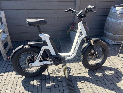 Fantic Issimo Fun, Fietsen en Brommers, Elektrische fietsen, Zo goed als nieuw, Overige merken, 30 tot 50 km per accu, Ophalen