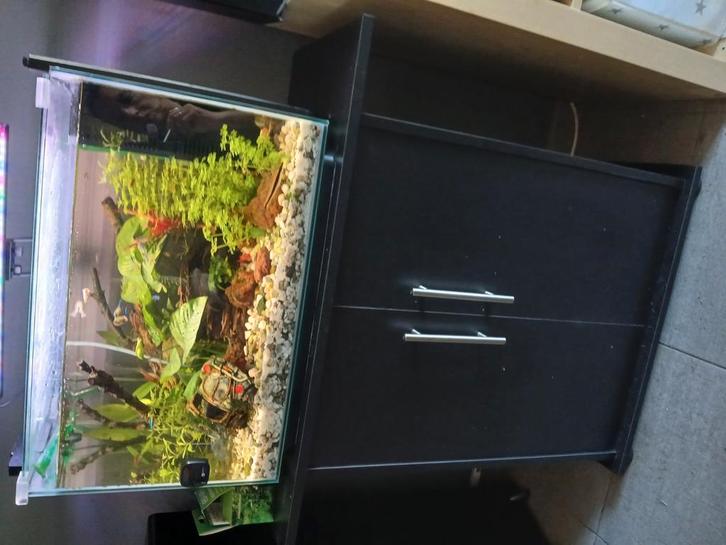 Aquarium met alle toebehoren  + meubelstuk, Dieren en Toebehoren, Vissen | Aquaria en Toebehoren, Zo goed als nieuw, Ophalen