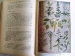 boek: de vrouw als huisdokter/dr. Anna Fischer, Ophalen of Verzenden, Zo goed als nieuw, Natuurwetenschap