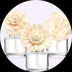 Te koop Scentsy geurbloemen 2 stuks voor €30 NIEUW, Ophalen of Verzenden, Nieuw