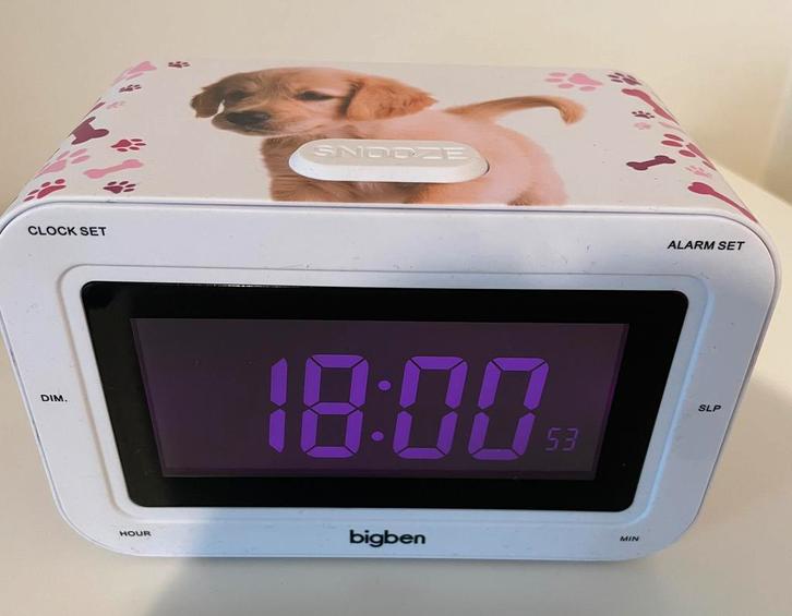 Wekkerradio, Bigben, hond, Elektronische apparatuur, Wekkers, Zo goed als nieuw, Digitaal, Ophalen of Verzenden